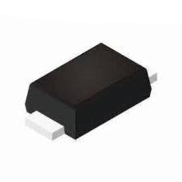 RS1BFL RVG