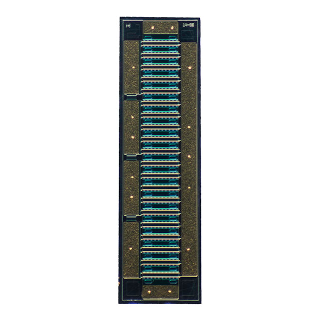 CG2H80060D-GP4