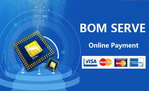 online payment